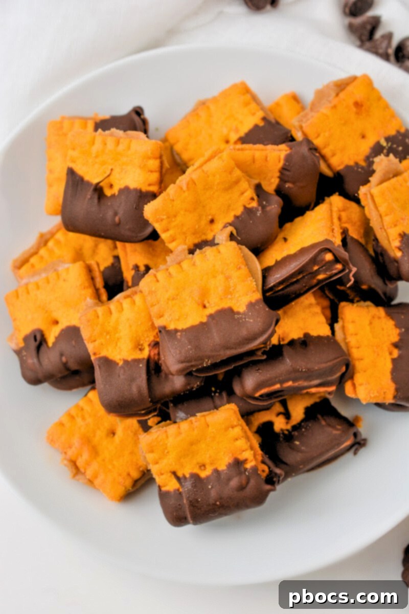 Keto Peanut Butter Chocolate Cheese Bites 7 Keto Cheez It Peanut Butter and Chocolate Bites