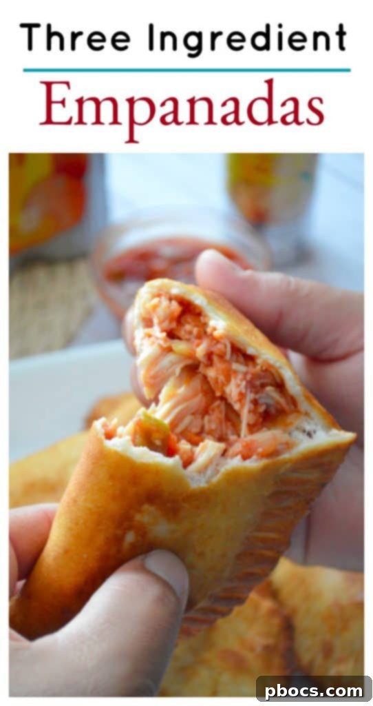 Final plated three ingredient chicken empanadas