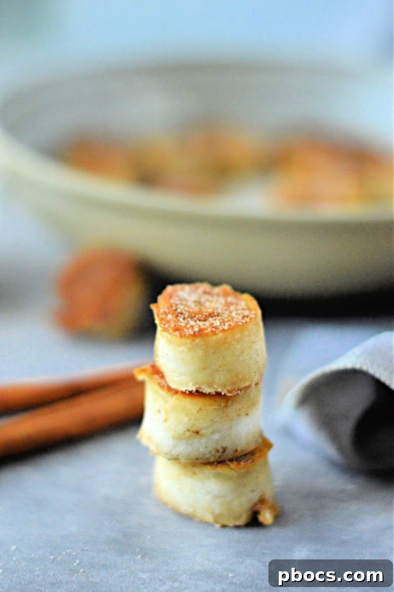 Keto Cinnamon Cream Cheese Delights 5 Assorted Keto Cinnamon Cream Cheese Bites, ready to serve