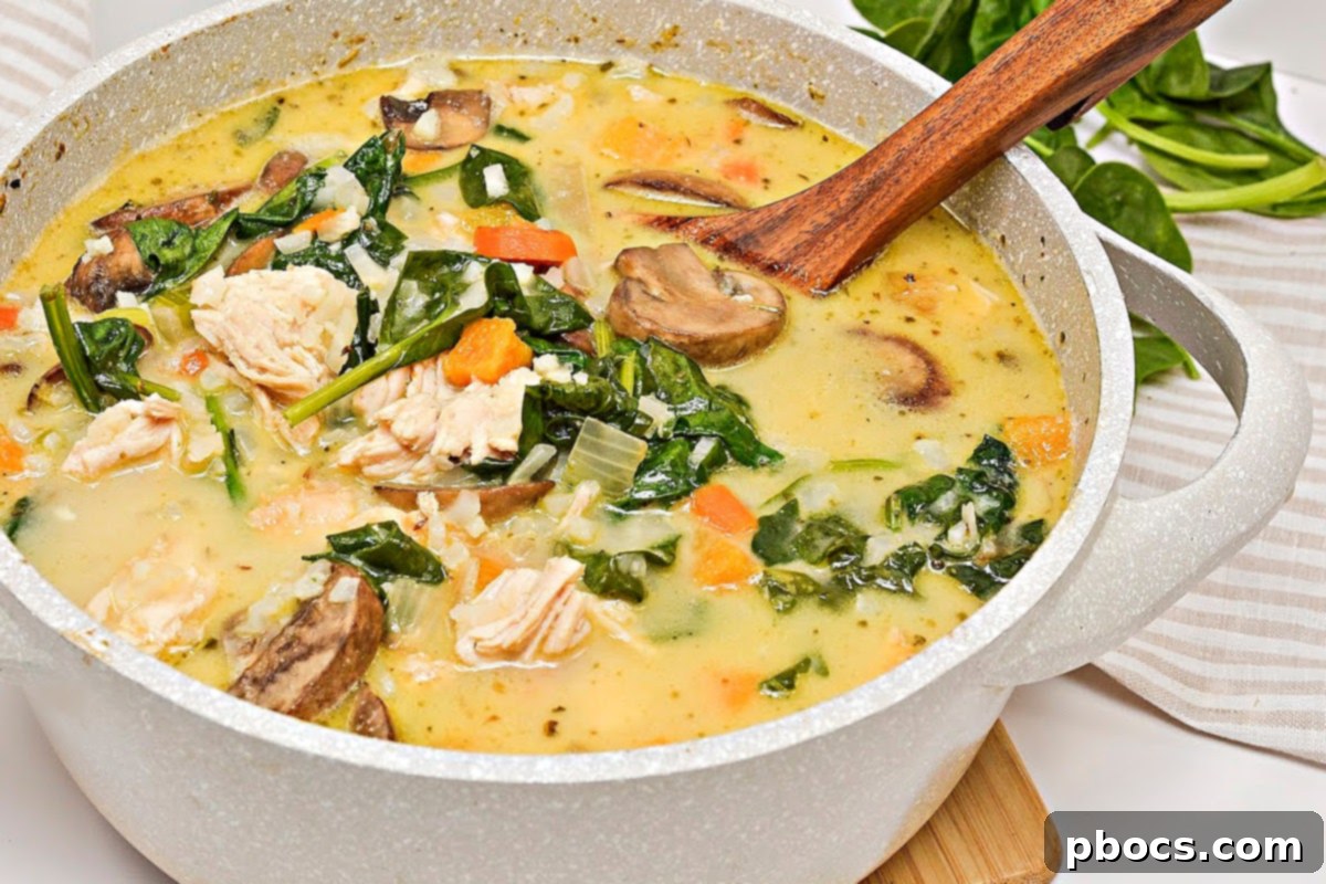 Close-up of Low-Carb Autumn Chicken and Rice Soup with fresh herbs