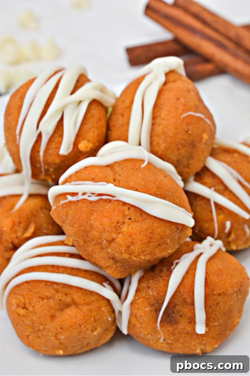 No Bake Keto Pumpkin Truffles 11 No Bake Keto Pumpkin Cake Balls