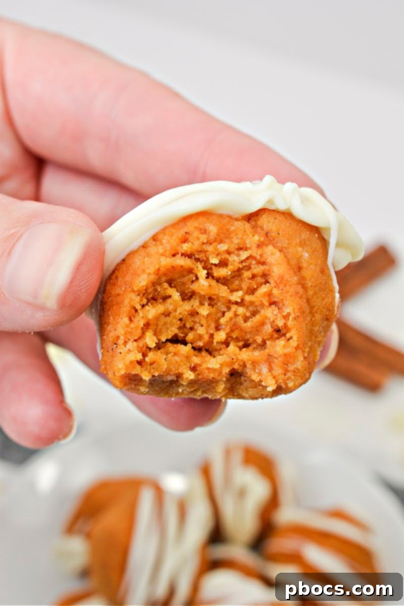 No Bake Keto Pumpkin Truffles 4 No Bake Keto Keto Pumpkin Cake Balls