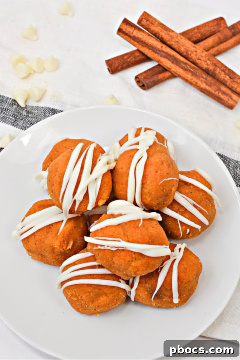 No Bake Keto Pumpkin Truffles 7 No Bake Keto Pumpkin Cake Balls