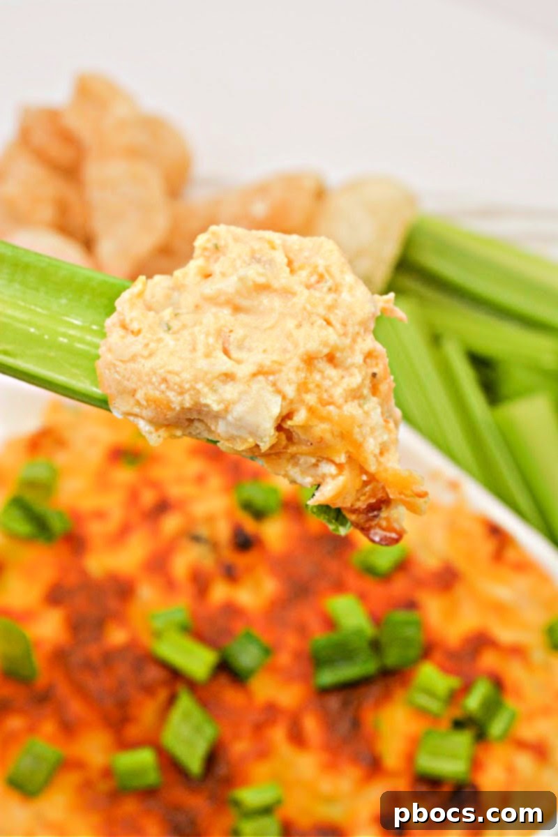 Creamy Low Carb Buffalo Chicken Cottage Cheese Dip for Keto Diet
