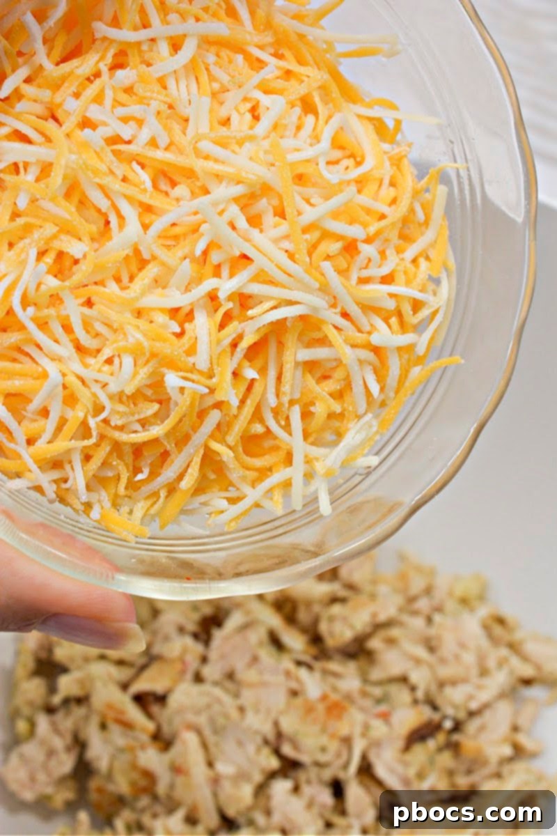 Best Cheese for Buffalo Chicken Cottage Cheese Dip