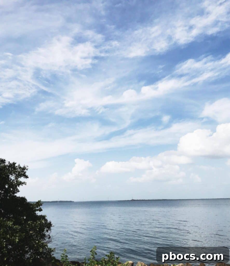 Pumpkin Patch Perfection 2 A family strolls through a sun-drenched Florida pumpkin patch, filled with pumpkins under palm trees