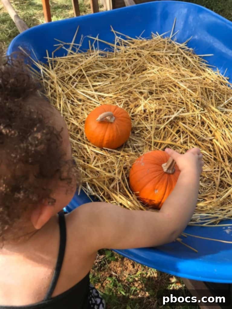 Pumpkin Patch Perfection 5 A close-up shot of Olivia's hands as she gently touches a pumpkin, her face full of concentration