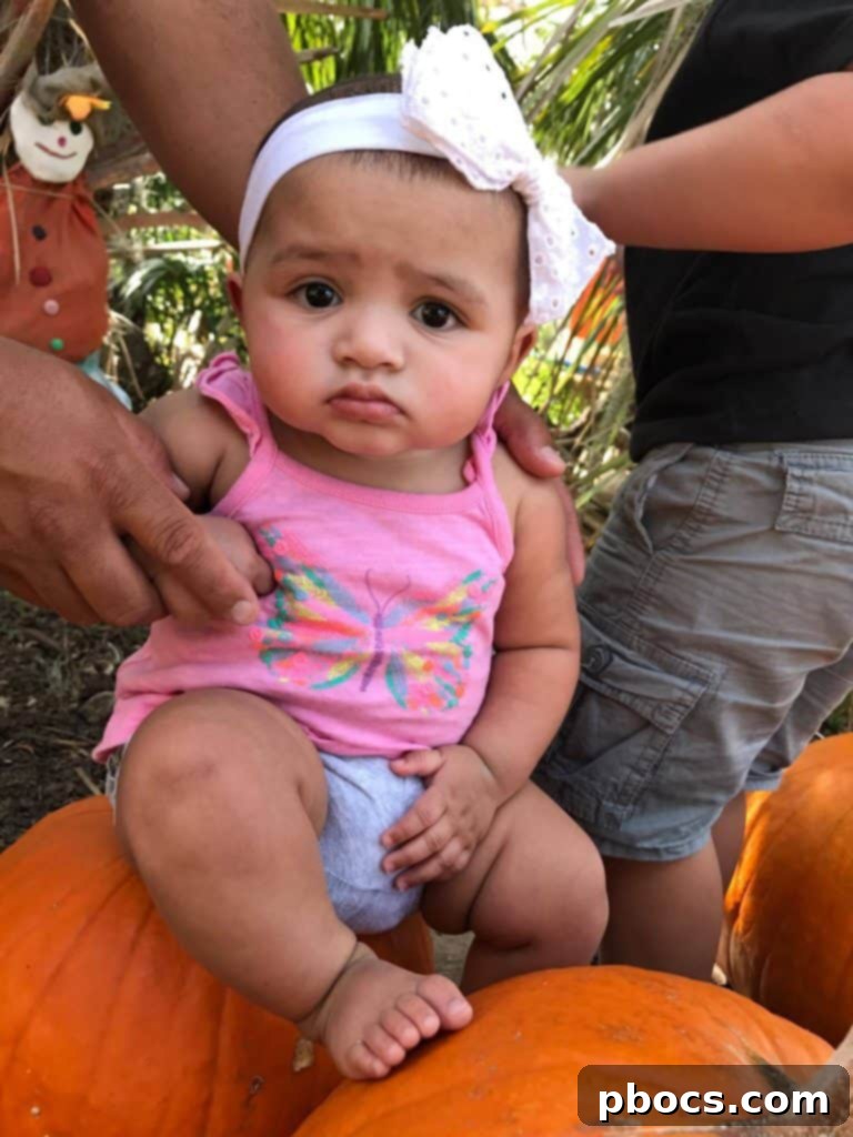 Pumpkin Patch Perfection 8 A scenic view of a Florida beach on a sunny day, with people enjoying fishing and jet skiing in the distance