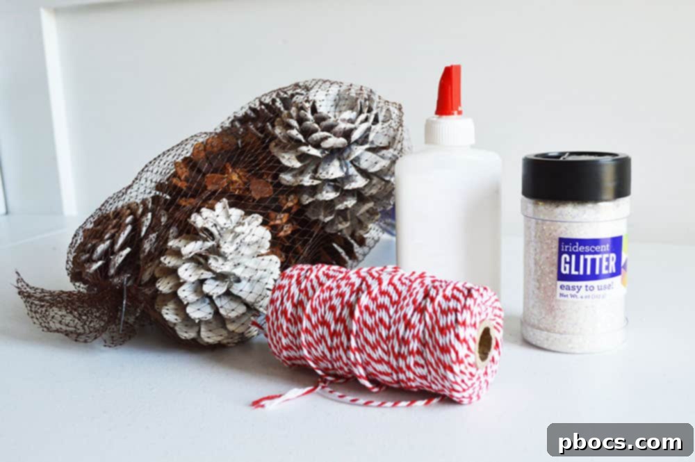 Essential supplies for DIY glitter pine cone ornaments laid out, including pine cones, glue, glitter, and twine.