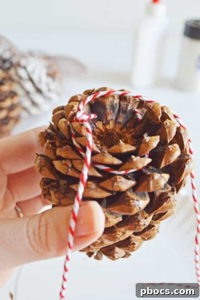 Red and white twine tied around the base of a pine cone, forming a hanger loop.