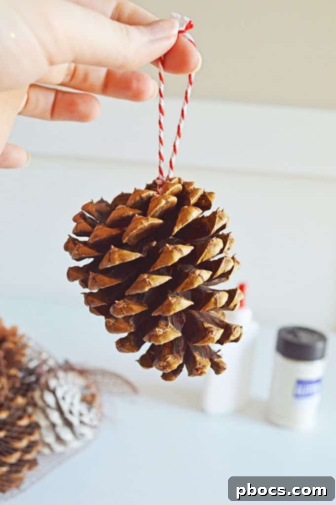 Close-up of a pine cone with a festive red and white twine loop tied securely for hanging.