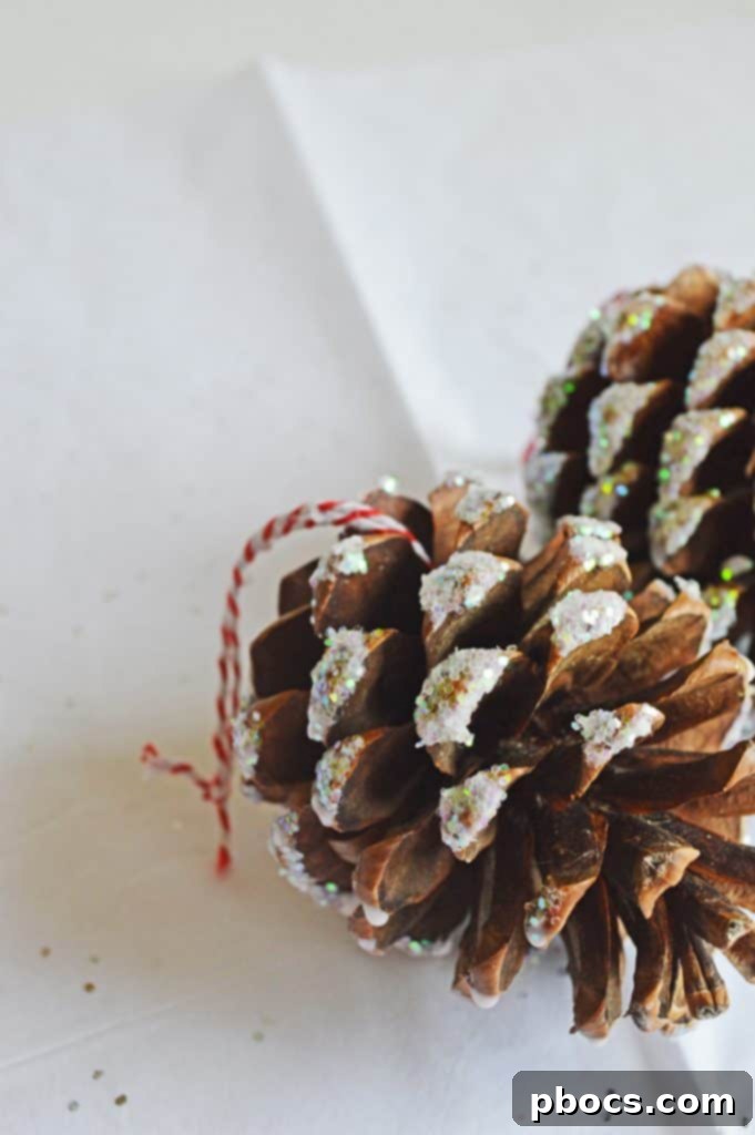 A close-up shot of a pine cone completely covered in shimmering white iridescent glitter.
