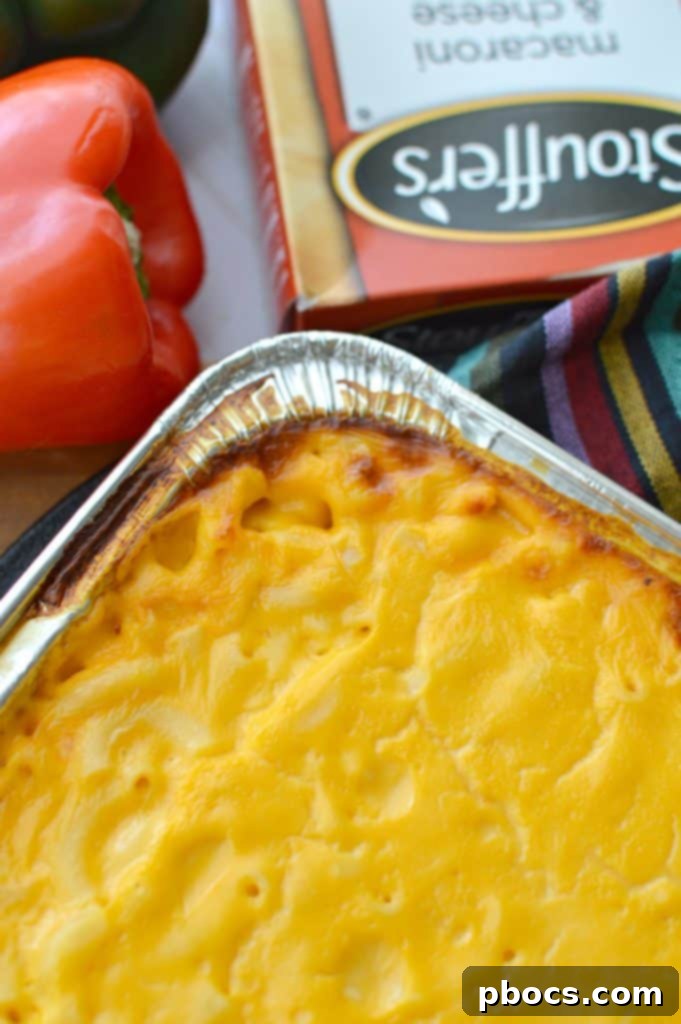 Mac & Cheese Steak Fajitas