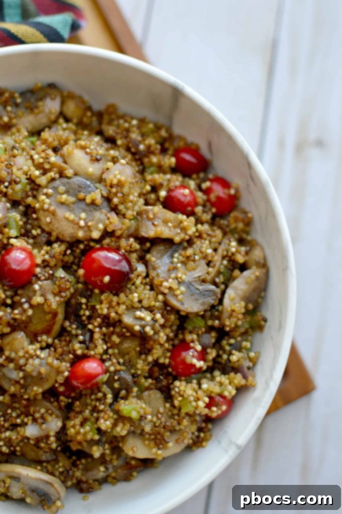 Bowl of healthy Cranberry & Mushroom Quinoa Stuffing on a rustic table