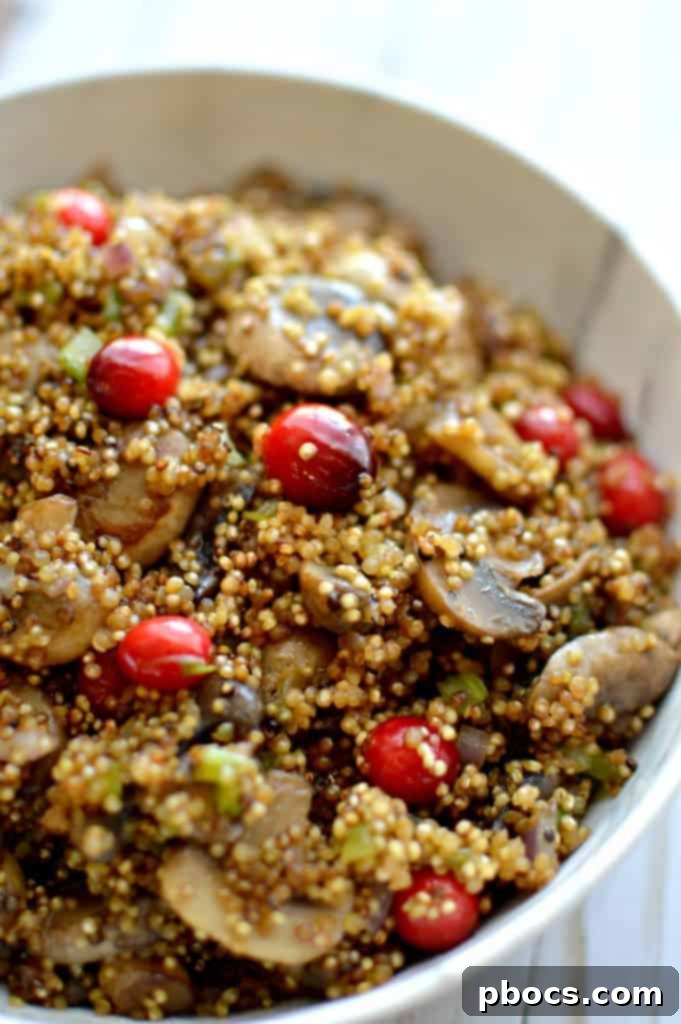Overhead view of Cranberry & Mushroom Quinoa Stuffing, garnished