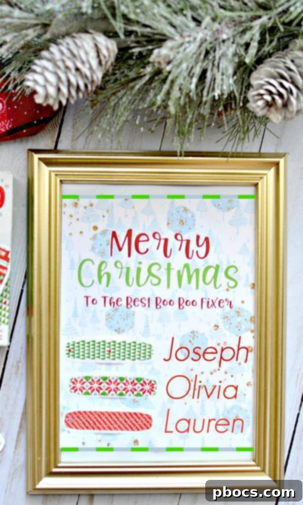 Free Christmas Boo Boo Care Printable 6 img 8504 7