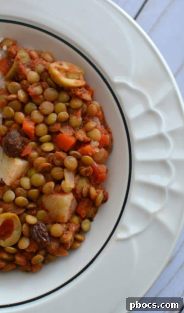 Close-up of vegan lentil picadillo, rich in color and texture, perfect for a wholesome meal.