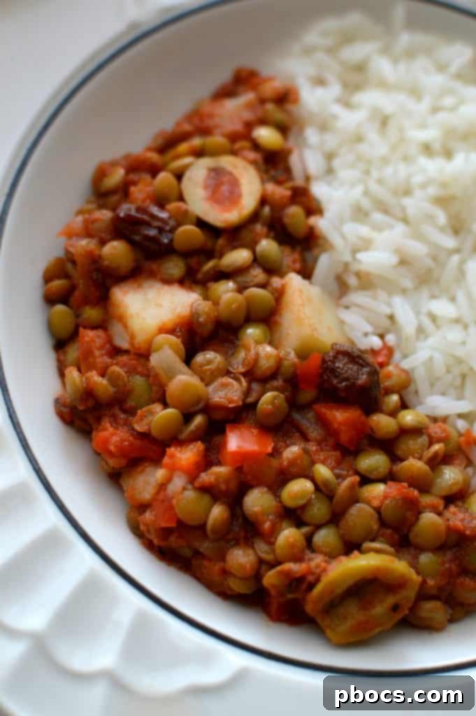 A serving of flavorful vegan picadillo made with lentils, ready to be enjoyed with a side of rice.