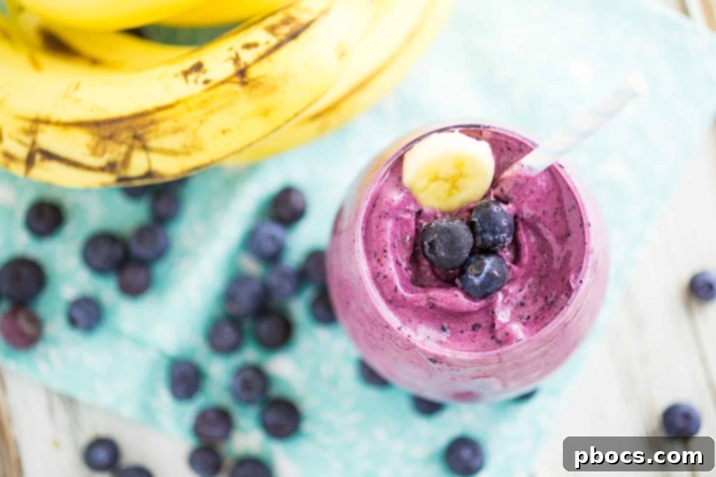 Refreshing Blueberry Banana Smoothie - Served Cold