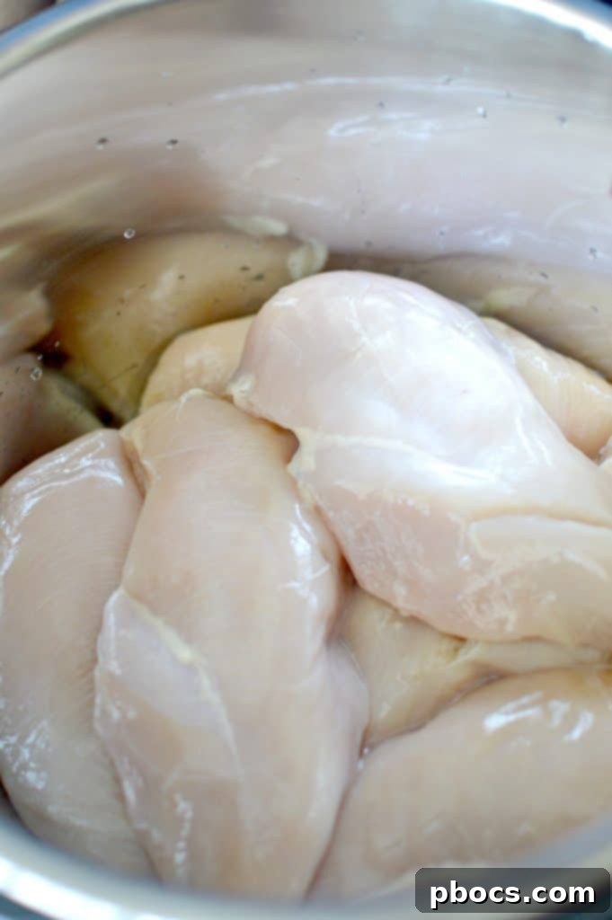 Place chicken breast in Instant Pot and brush with olive oil
