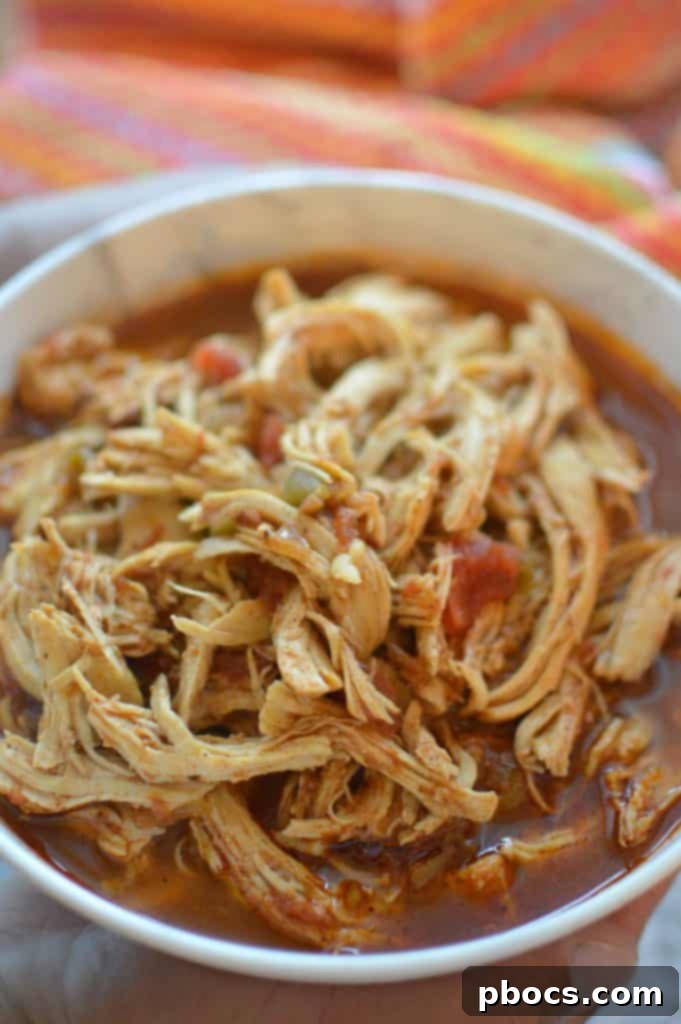Return shredded chicken to pot and slow cook for 15-20 minutes