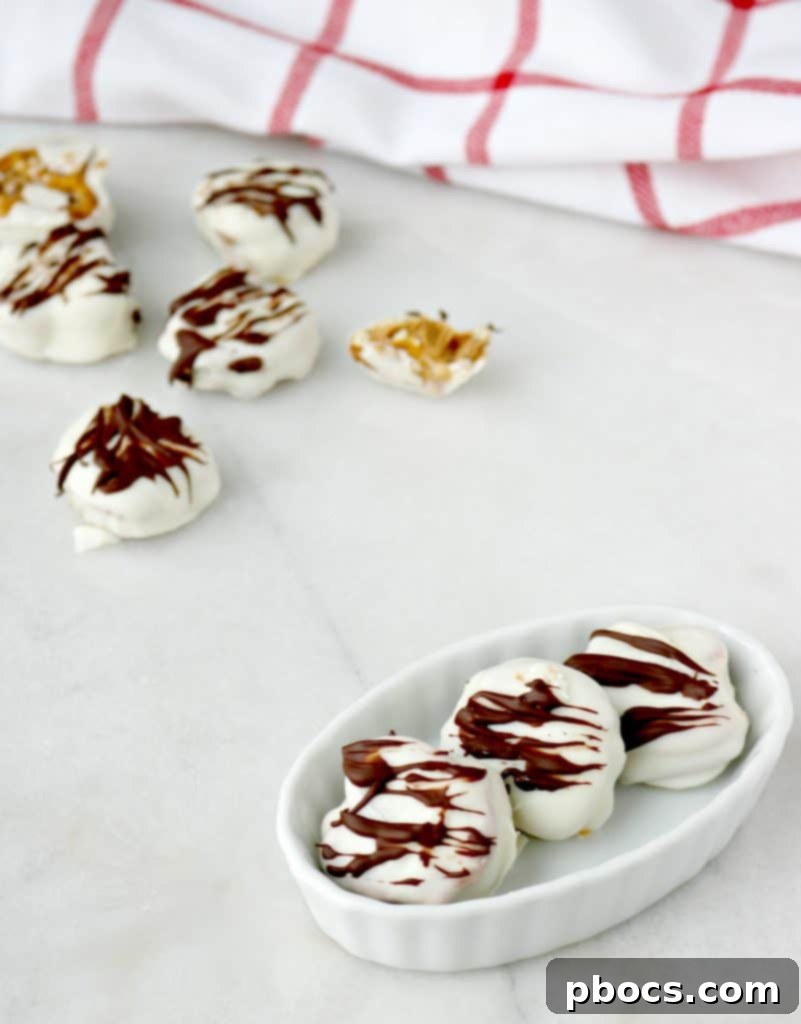 Peanut Butter Pretzel Bites - Dipped in almond bark and drizzled with chocolate