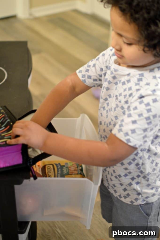 Close-up of organized snacks in lunch box station